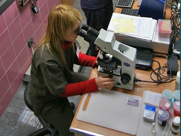 laboratorio de analisis clinica veterinaria navascues