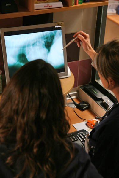 radiología digital diagnóstico por imagen en navarra