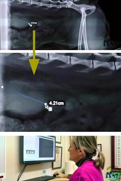 radiología digital diagnóstico por imagen en navarra